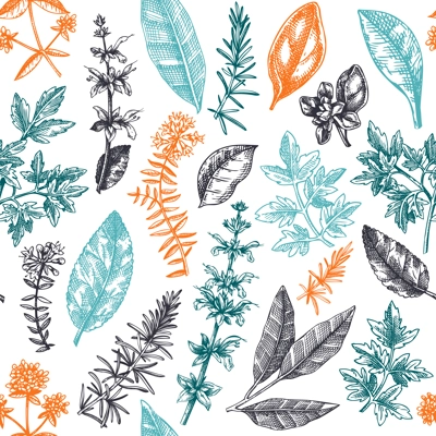 Vector background with typical herbs and spices leaves. Hand-sketched kitchen herbal plants for Italian cuisine seamless pattern. Aromatic food cooking ingredients backdrop. Hand drawn herbs design